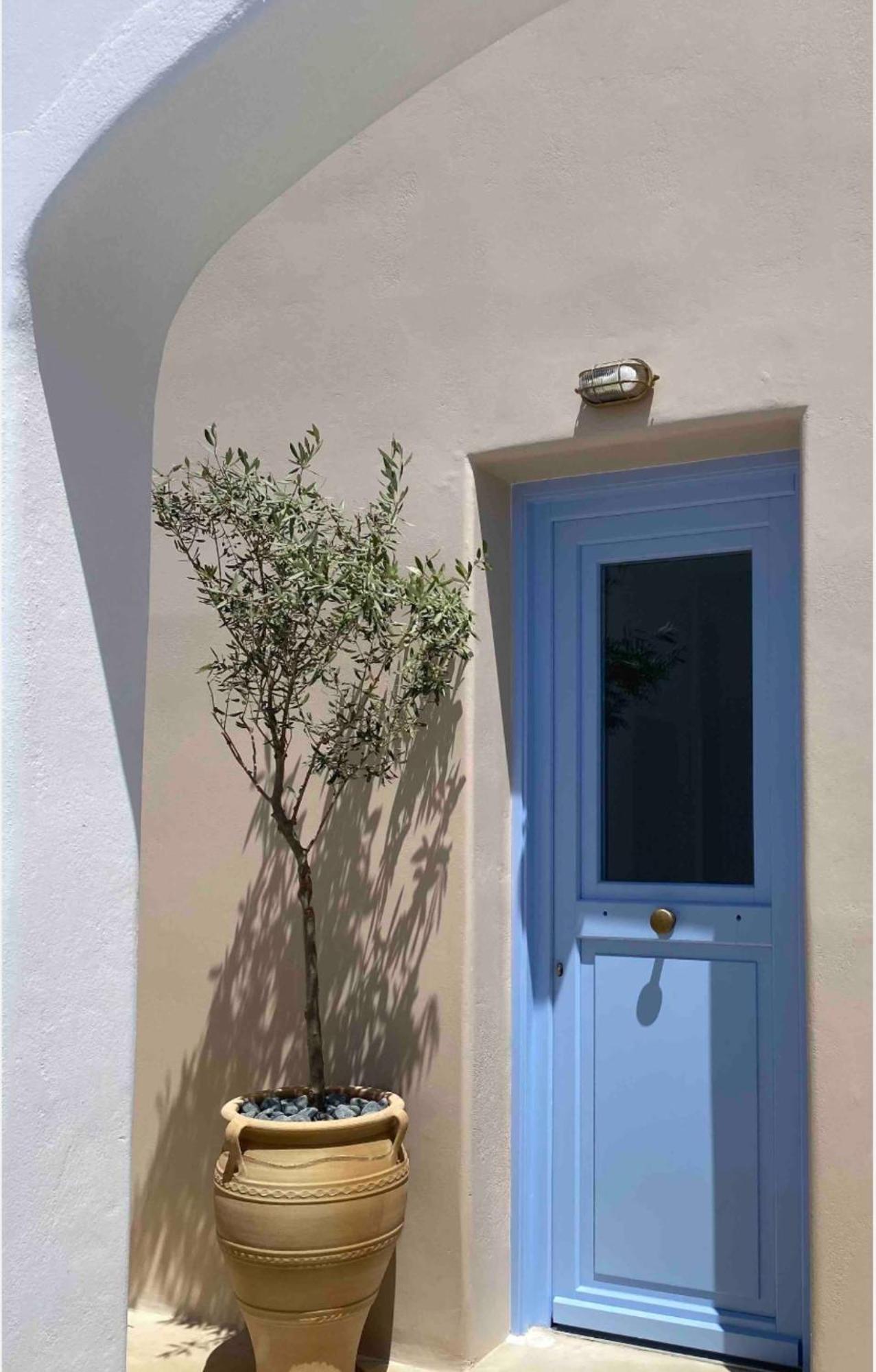 Willa Pink Freud Santorini *